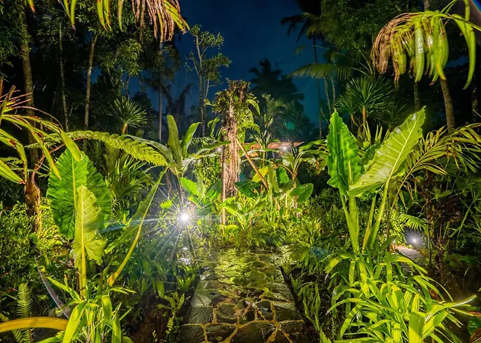 Moonlit Jungle Seribatu
